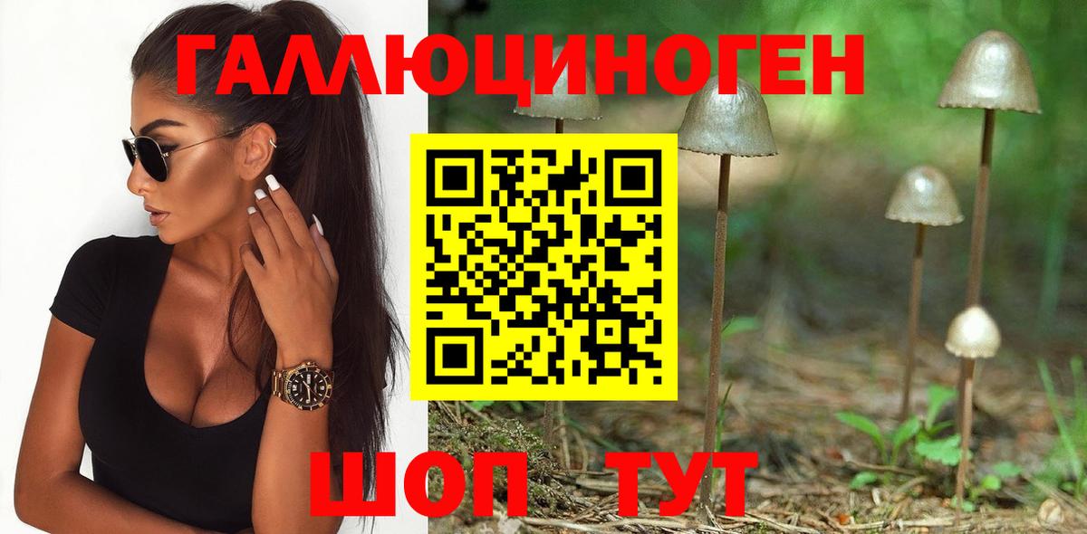 Псилоцибиновые грибы Psilocybine cubensis Реутов
